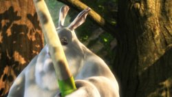 big buck bunny 1080p h264